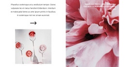 Elaboración De Vino Rosado: Plantilla Creativa Multipropósito De Una Página