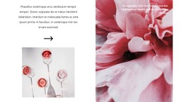 Production De Vin Rosé Modèle De Formulaire CSS