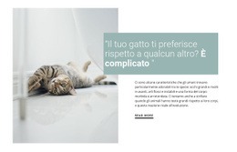 Come Prendersi Cura Di Un Gatto Domestico - Design HTML Page Online
