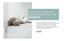 Come Prendersi Cura Di Un Gatto Domestico Sito Web Html