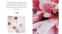 Production Of Rosé Wine - Free Download Joomla Template