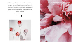 Productie Van Roséwijn - Eenvoudig Websitesjabloon