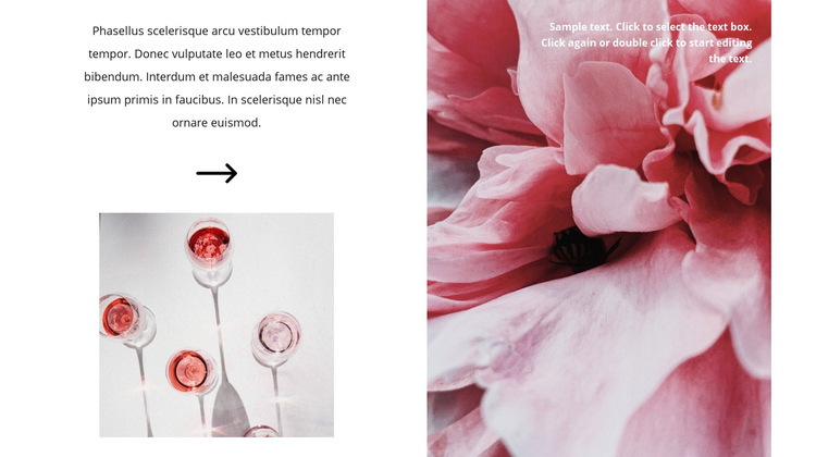 Productie van roséwijn Website sjabloon