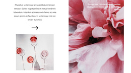 Production Of Rosé Wine One Page Template