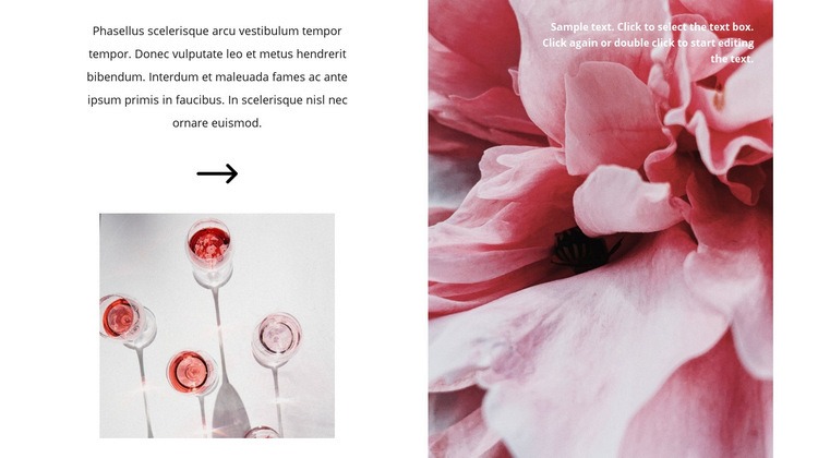 Produção de vinho rosé Maquete do site