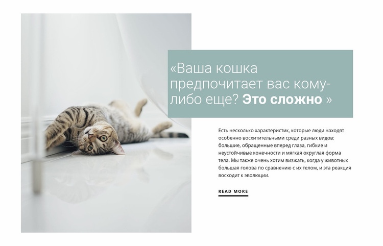 Как ухаживать за домашней кошкой HTML5 шаблон