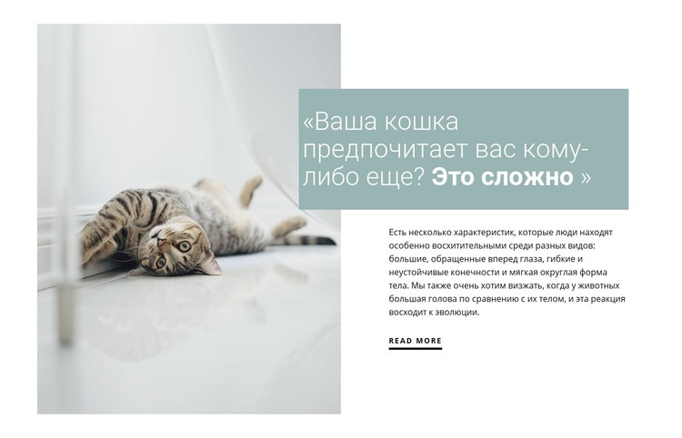 Как ухаживать за домашней кошкой Шаблоны конструктора веб-сайтов
