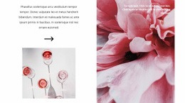 Производство Розового Вина – Креативный Многоцелевой Одностраничный Шаблон