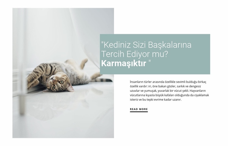 Yerli bir kediye nasıl bakılır Web Sitesi Mockup'ı