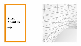 Premium Landing Page For Unusual Ceilings