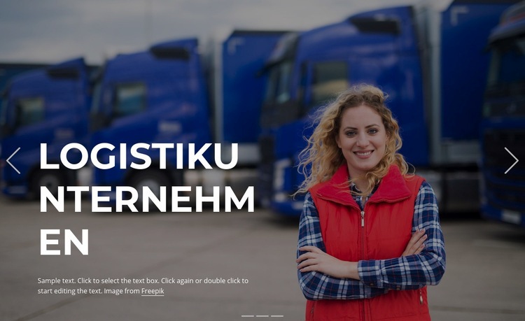 Innovative Transportlösungen Website design