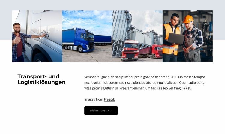 Logistische Lösungen Website-Modell