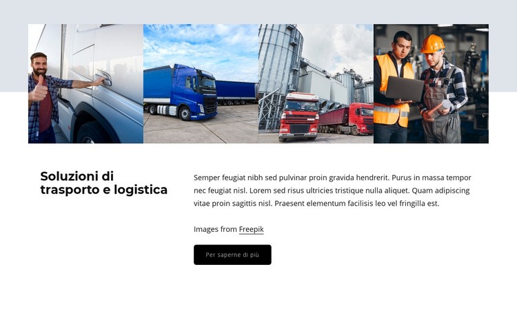 Soluzioni logistiche Mockup del sito web