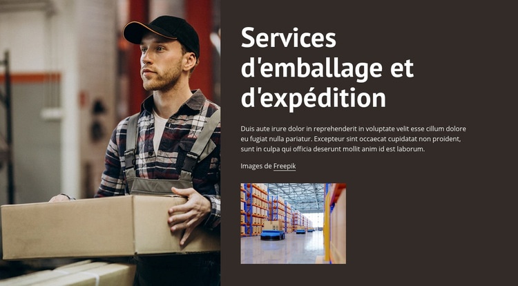 Services d'emballage et d'expédition Maquette de site Web