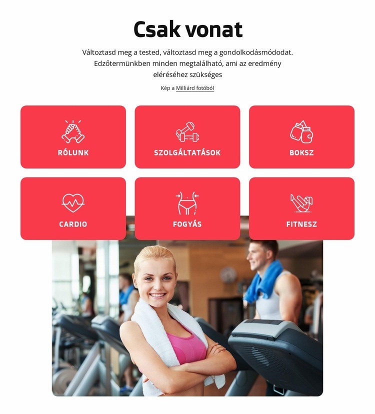 Egészség- és fitneszklub Londonban WordPress Téma