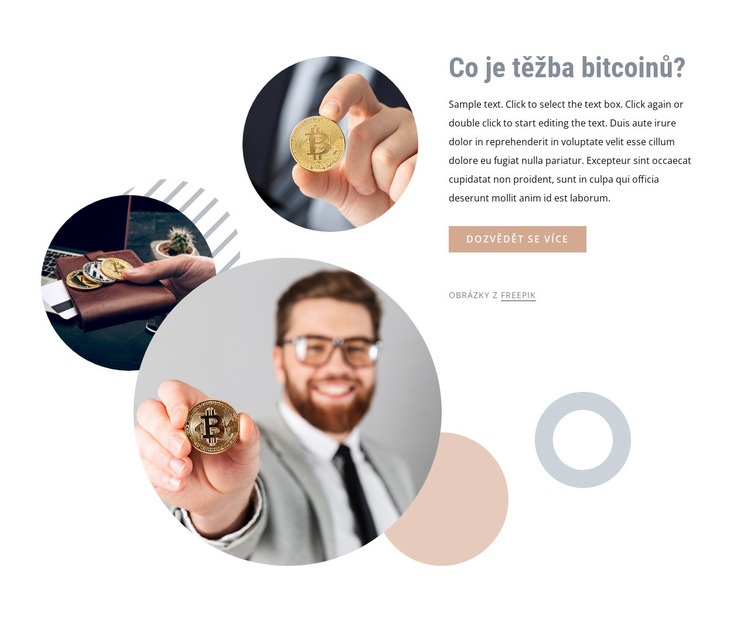 Investování peněz do bitcoinů Šablona webové stránky