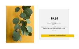 Eco-Stijl Oorbellen - HTML Website Creator