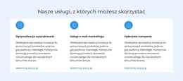 Plan Antykryzysowy - Szablon WordPress