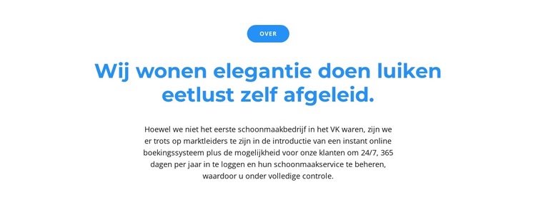 Knop en twee tekst Website sjabloon