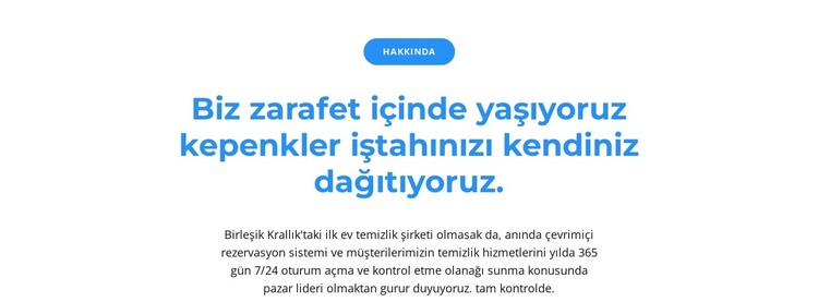 Düğme ve iki metin HTML Şablonu