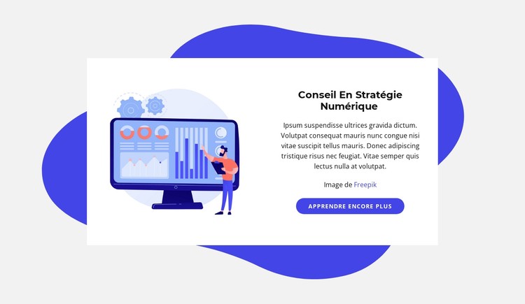 Conseil en stratégie numérique Modèle CSS