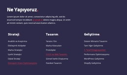 Strateji, Web Tasarımı Ve Geliştirme