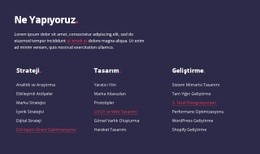 Strateji, Web Tasarımı Ve Geliştirme - Web Sitesi Şablonları