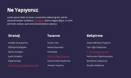 Strateji, Web Tasarımı Ve Geliştirme - En Iyi Web Sitesi Şablonu Tasarımı