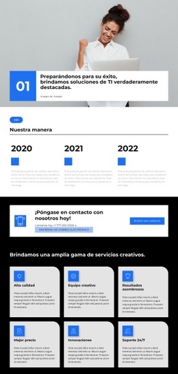 Reuniones En Línea - Diseño Web Polivalente