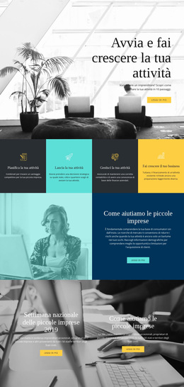 Avvia E Fai Crescere La Tua Attività - Tema WordPress