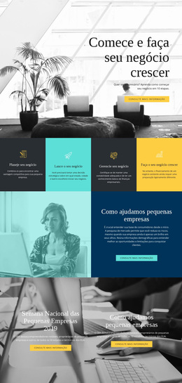 Inicie E Expanda Seu Negócio - Tema WordPress