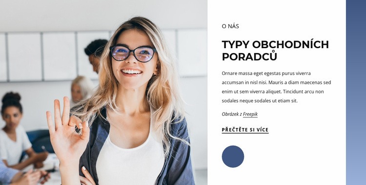 Typy obchodních poradců Šablona CSS