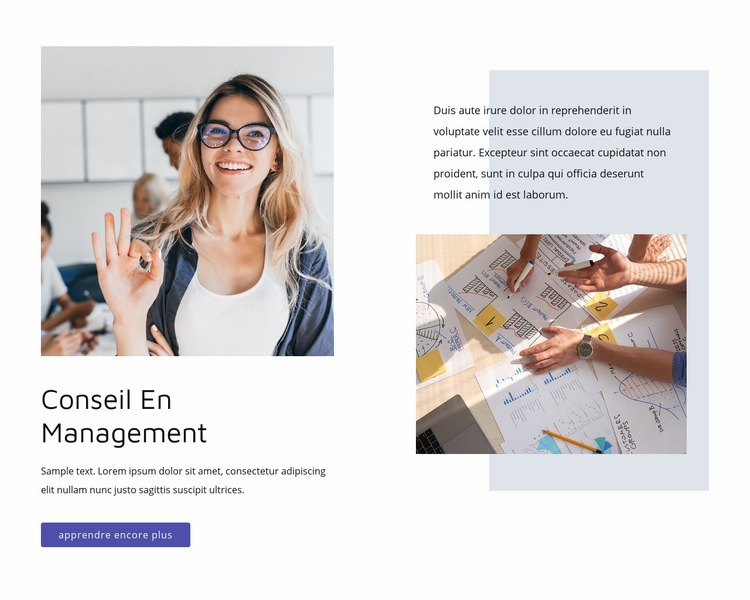 Conseil en management Maquette de site Web