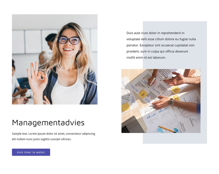 Managementadvies WordPress-thema