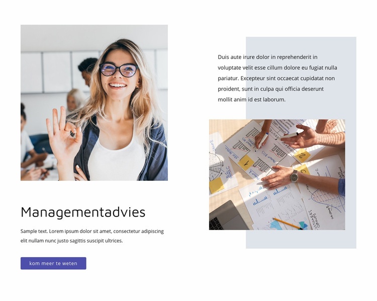 Managementadvies Website mockup