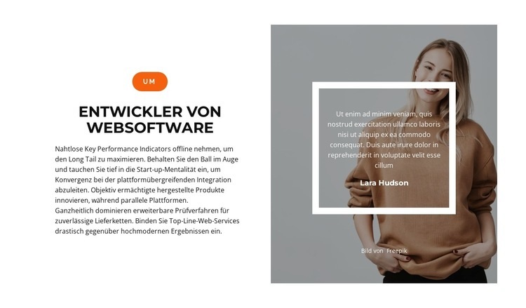 Schnelle Entwicklung Website design