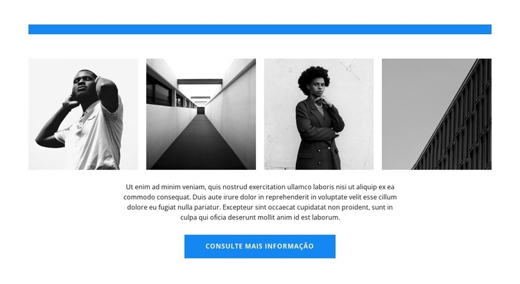 Galeria do trabalho Tema WordPress