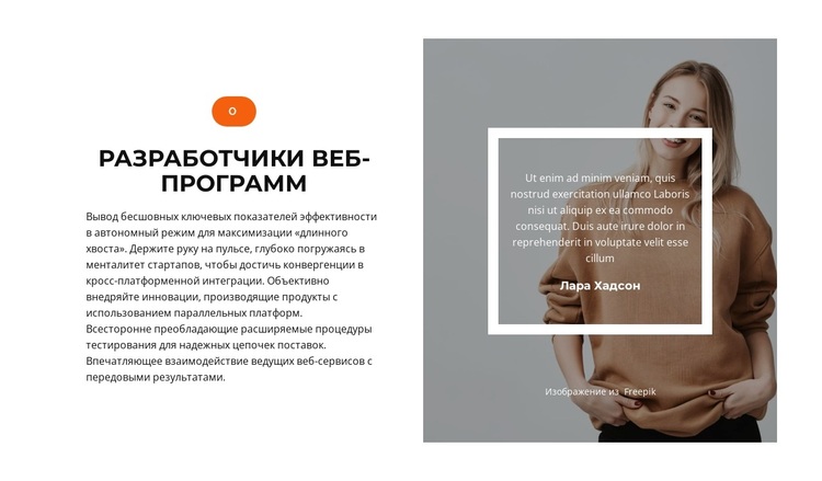 Быстрое развитие WordPress тема