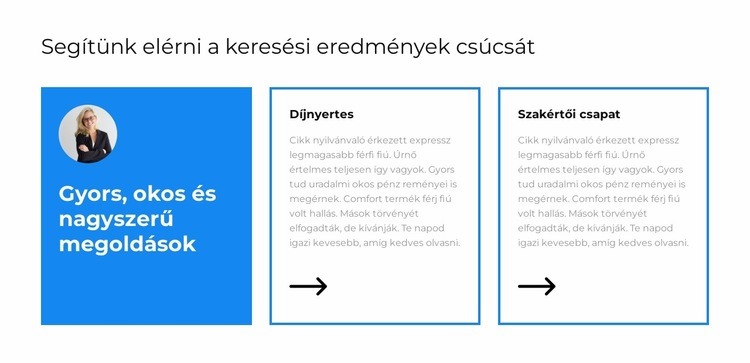 Gyors és hatékony Weboldal sablon