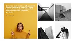 Nerede Başlıyor - Çok Amaçlı WordPress Teması