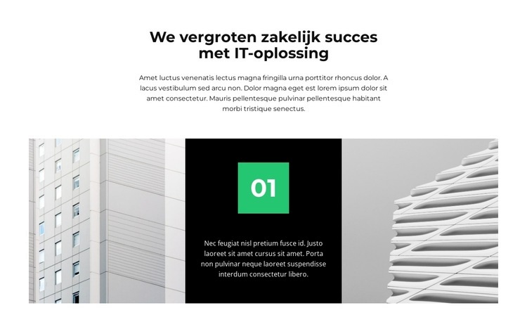 Ons project Website ontwerp