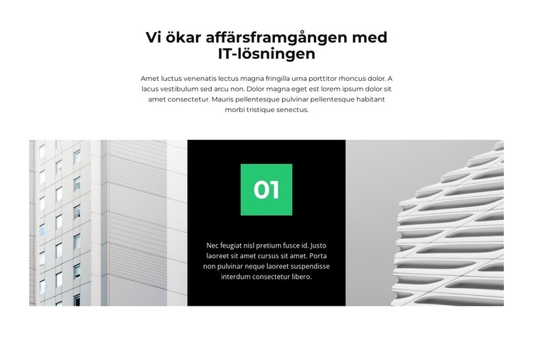 Vårt projekt WordPress -tema