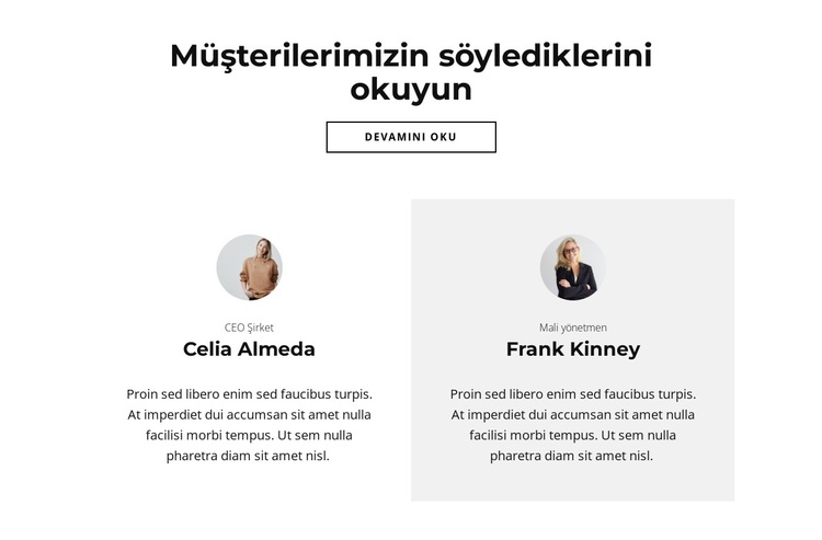 Görüşler önemlidir WordPress Teması