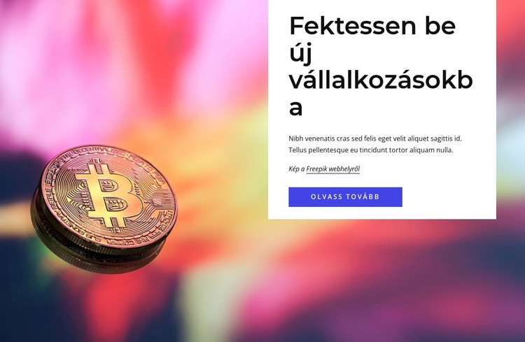 Fektessen be új vállalkozásokba CSS sablon