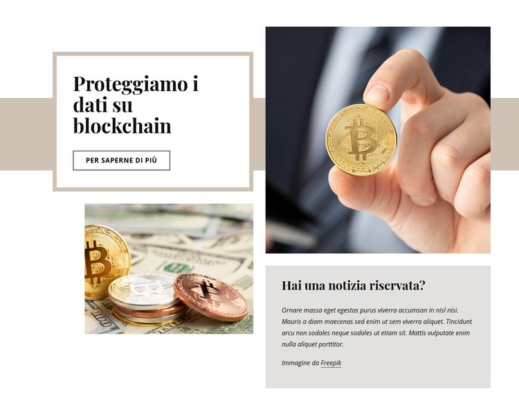 Investimento in criptovaluta Modelli di Website Builder