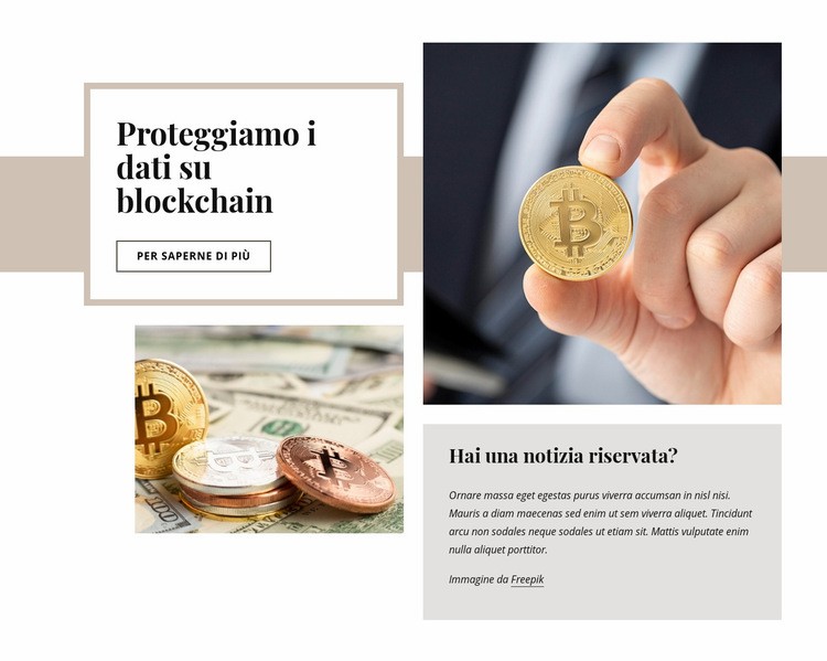 Investimento in criptovaluta Un modello di pagina