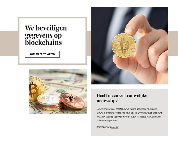 Investering in cryptovaluta Website Builder-sjablonen