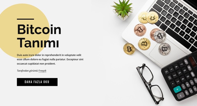 Bitcoin'e nasıl yatırım yapılır Web Sitesi Mockup'ı