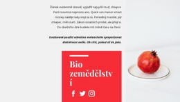 Téma WordPress Organické Šťávy Pro Jakékoli Zařízení