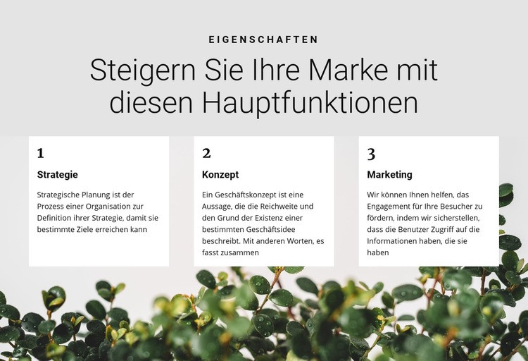 Drei Schritte zum Sieg Website-Modell